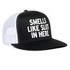 Load image into Gallery viewer, Smells Like Slut In Here Funny Party Snapback Mesh Trucker Hat - black/white